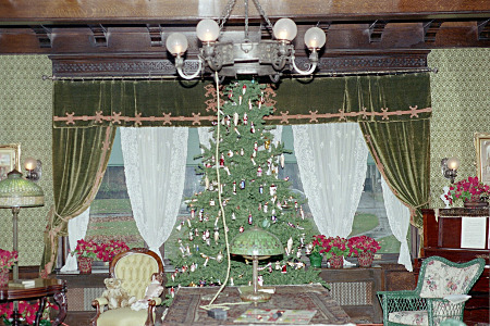 [An evergreen tree with unlit candles on it stands in front of a large window with ornate draping across it. A chandelier with globe bulbs is overhead. There are pots of blooming poinsettias.]